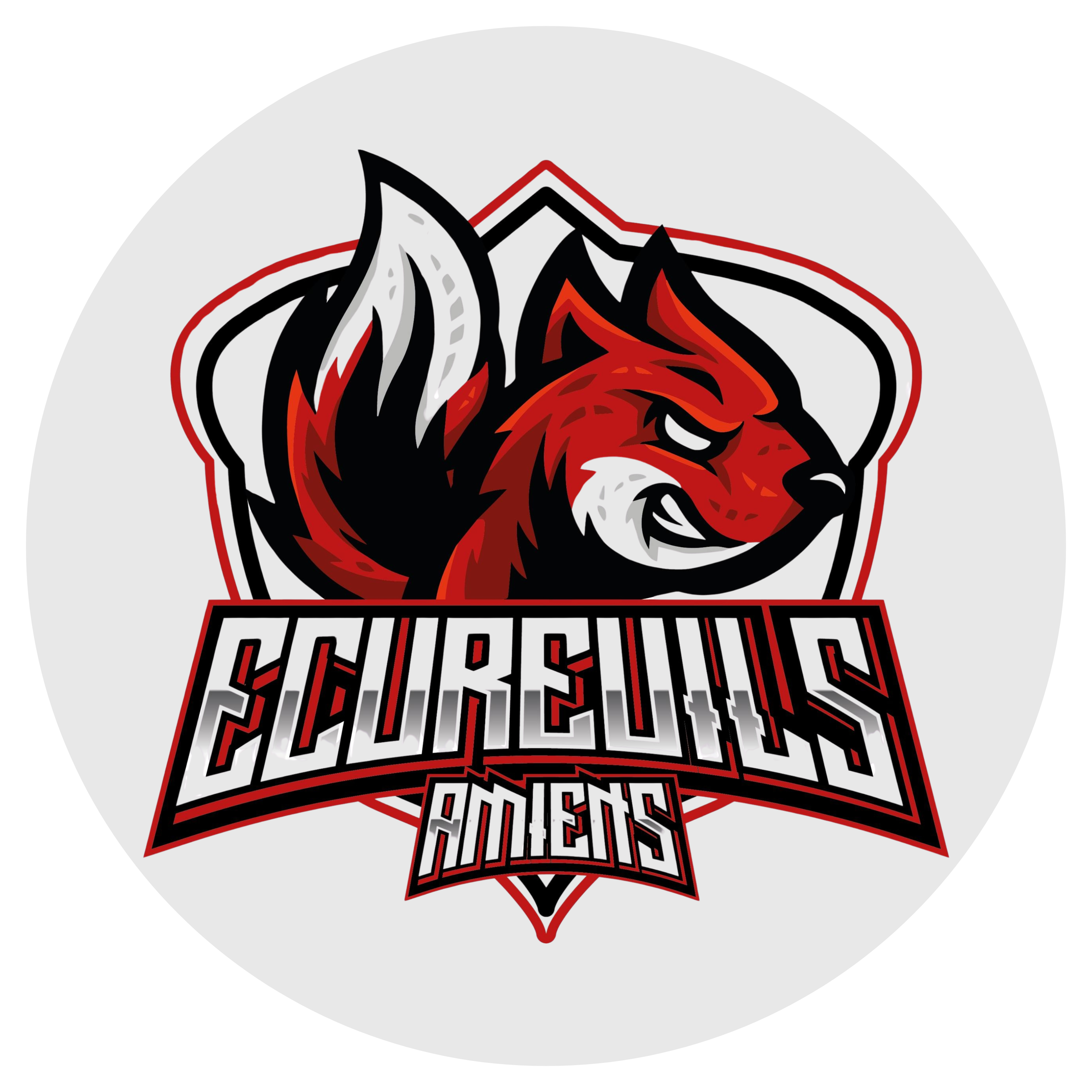 Ecureiuils%20amiens%20.png